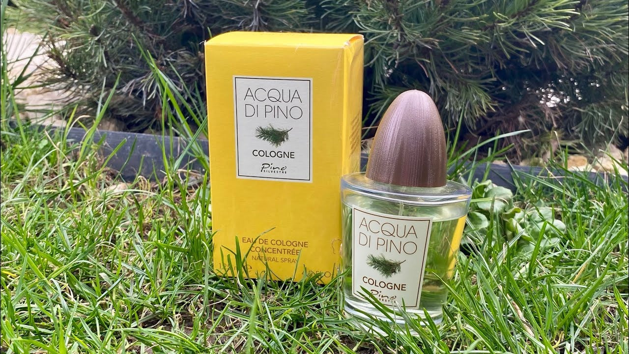 Acqua Di Pino Cologne by Pino Silvestre for Men - 4.2 oz EDC Spray