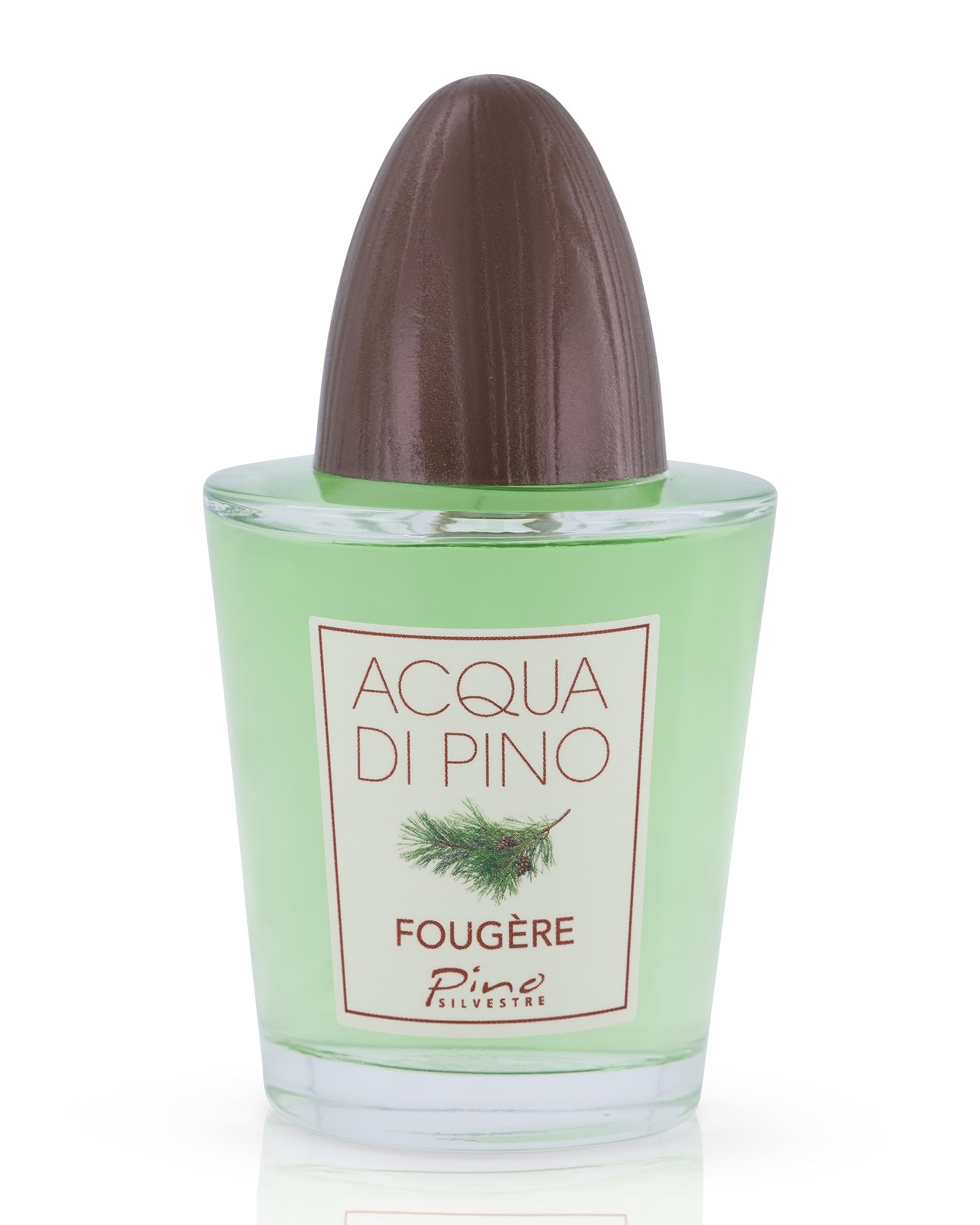 Acqua Di Pino Fougere by Pino Silvestre for Men - 4.2 oz EDT Spray