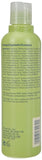 Be Curly Shampoo by Aveda for Unisex - 8.5 oz Shampoo